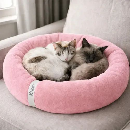 cama nuvem para gato