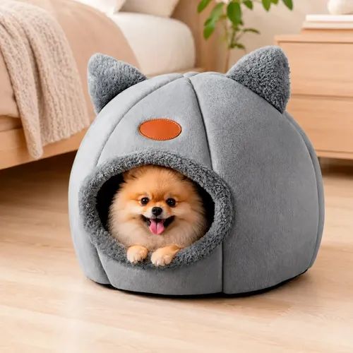 caminha toca para gato