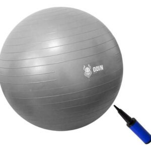 bola suíça 65cm