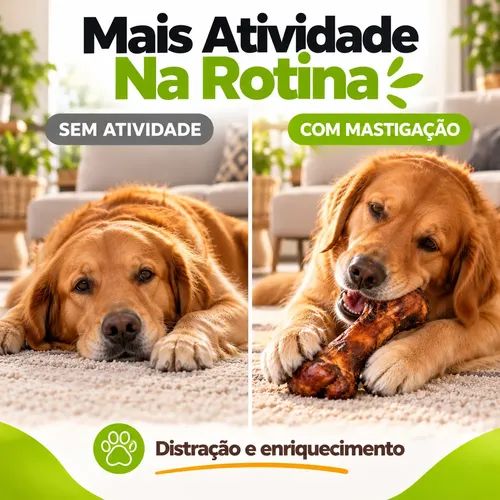 osso fêmur suíno para cachorro kit 3
