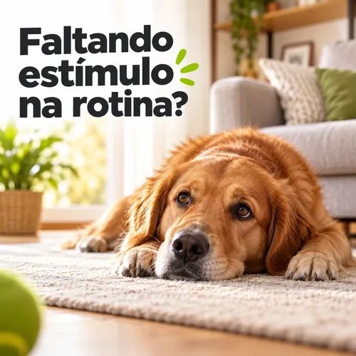 osso fêmur suíno para cachorro kit 3
