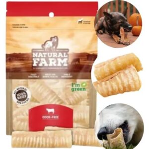 traqueia bovina para cachorro